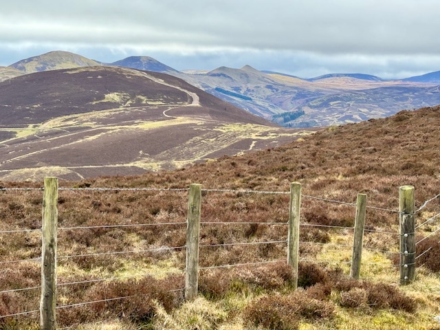 Allermuir  Swanston 3 MF 310326