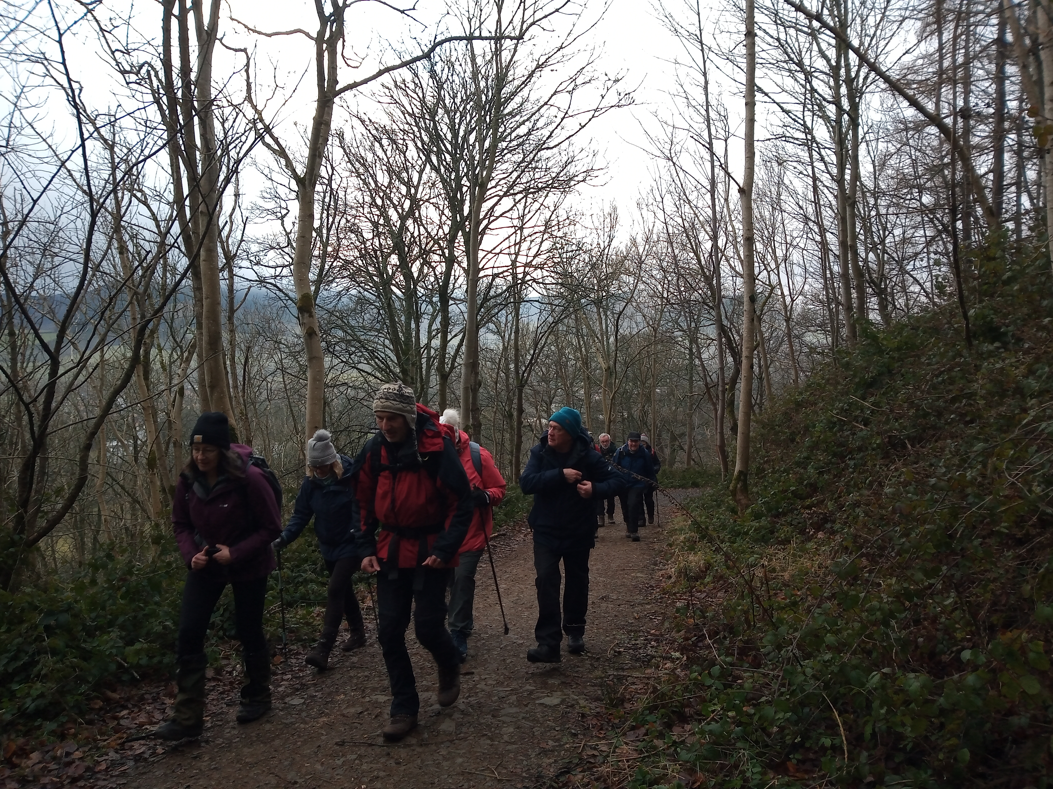 Janets Brae Cardie Hill Walk IR 3 Jan 26