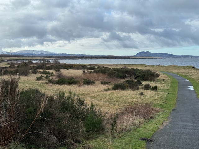 Musselburgh 2 26 February 2026 MF