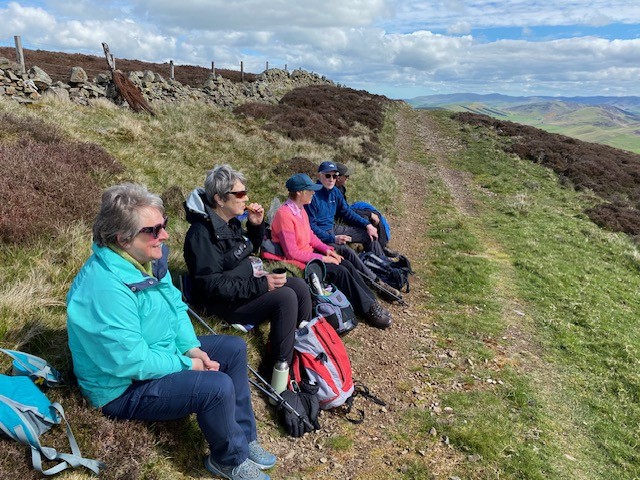 Turkey and Lamington Hill 2 JM May 2026