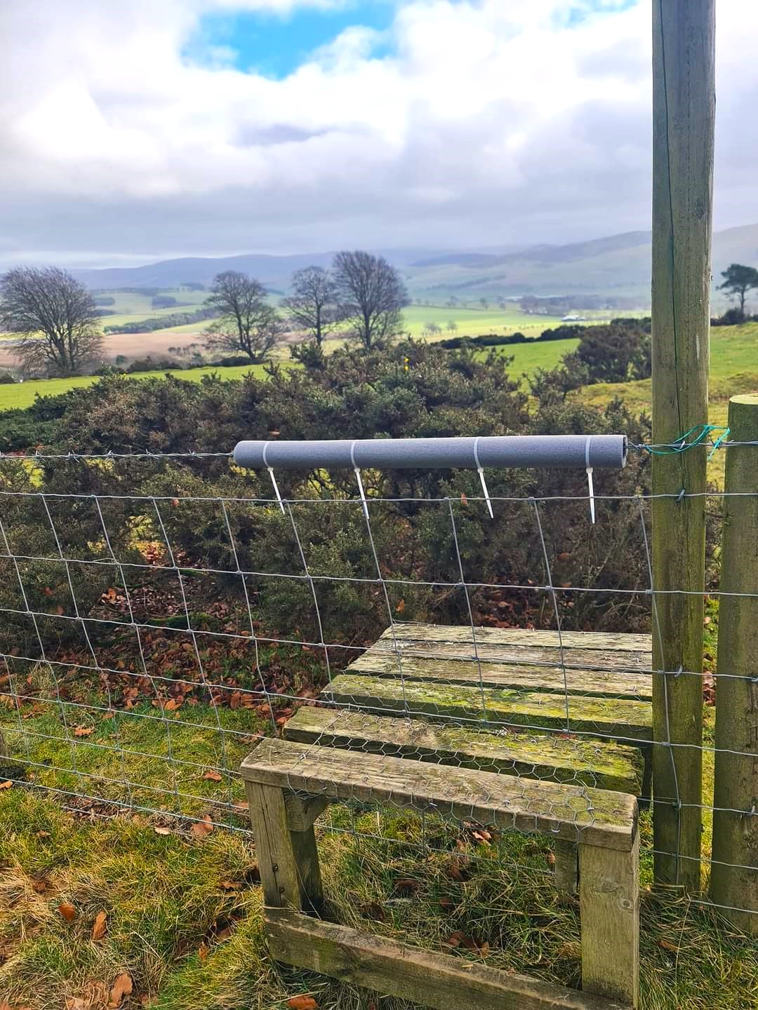 Bizzyberry Access