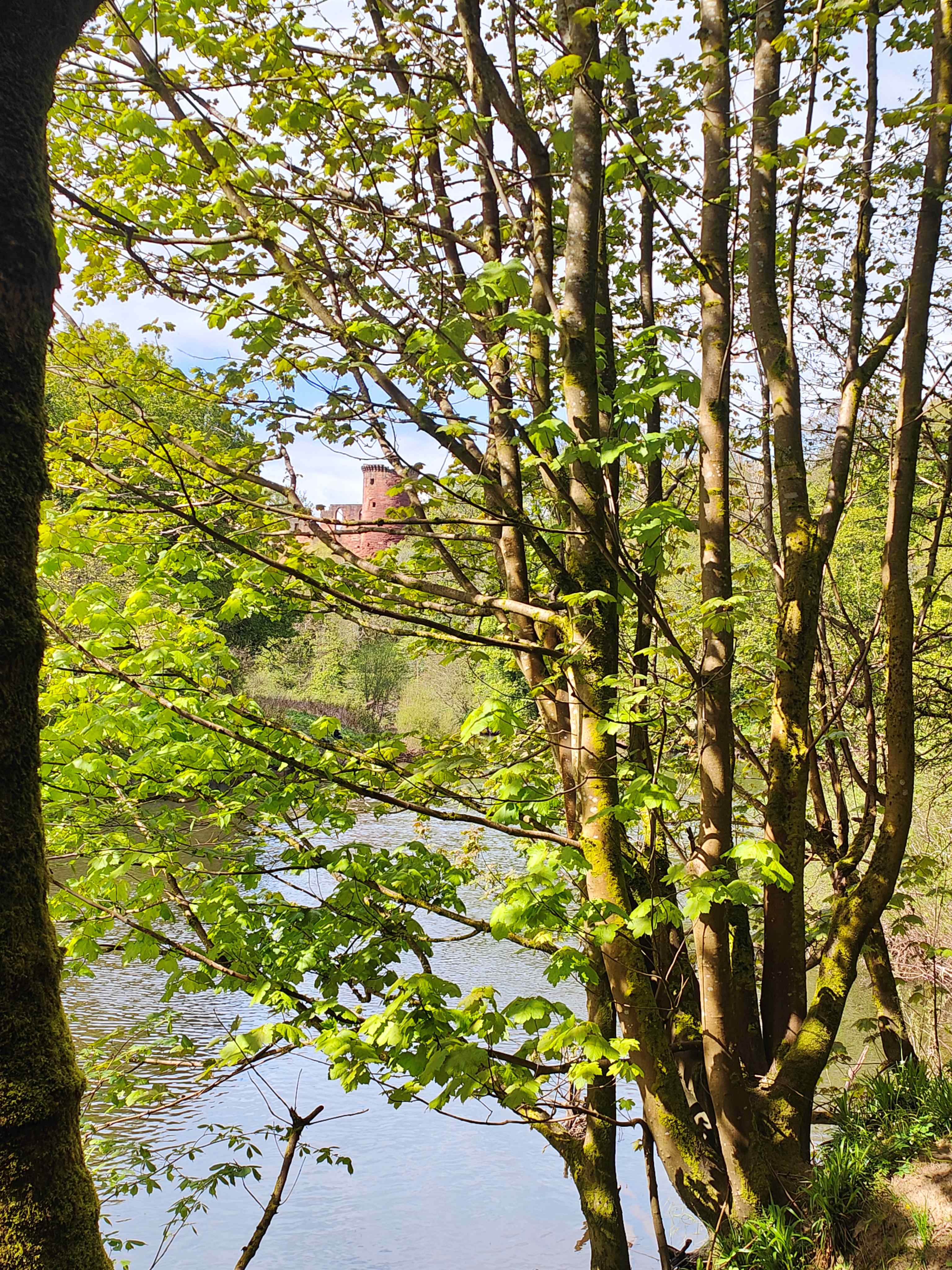 Bothwell2