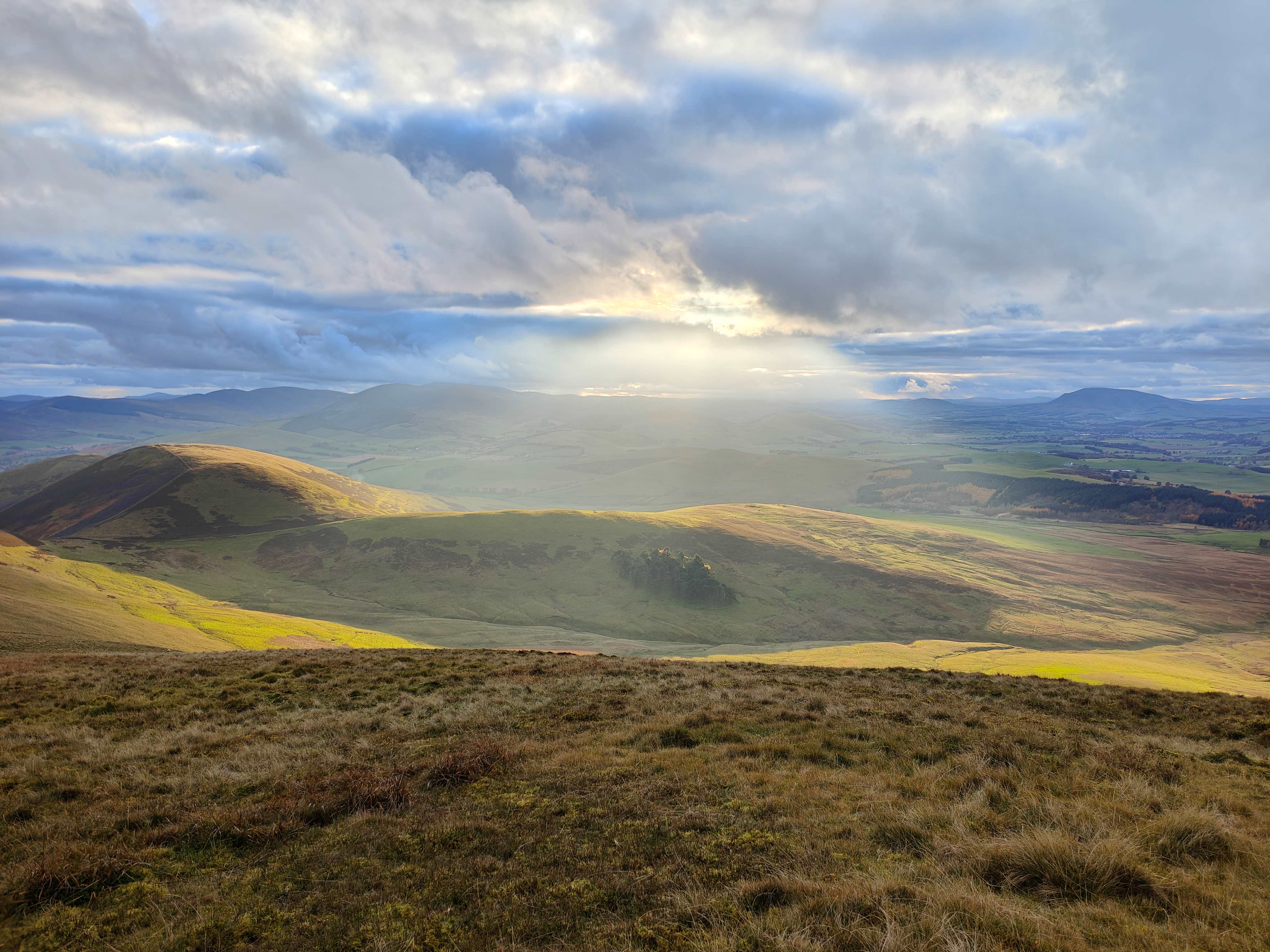 Broughton Heights