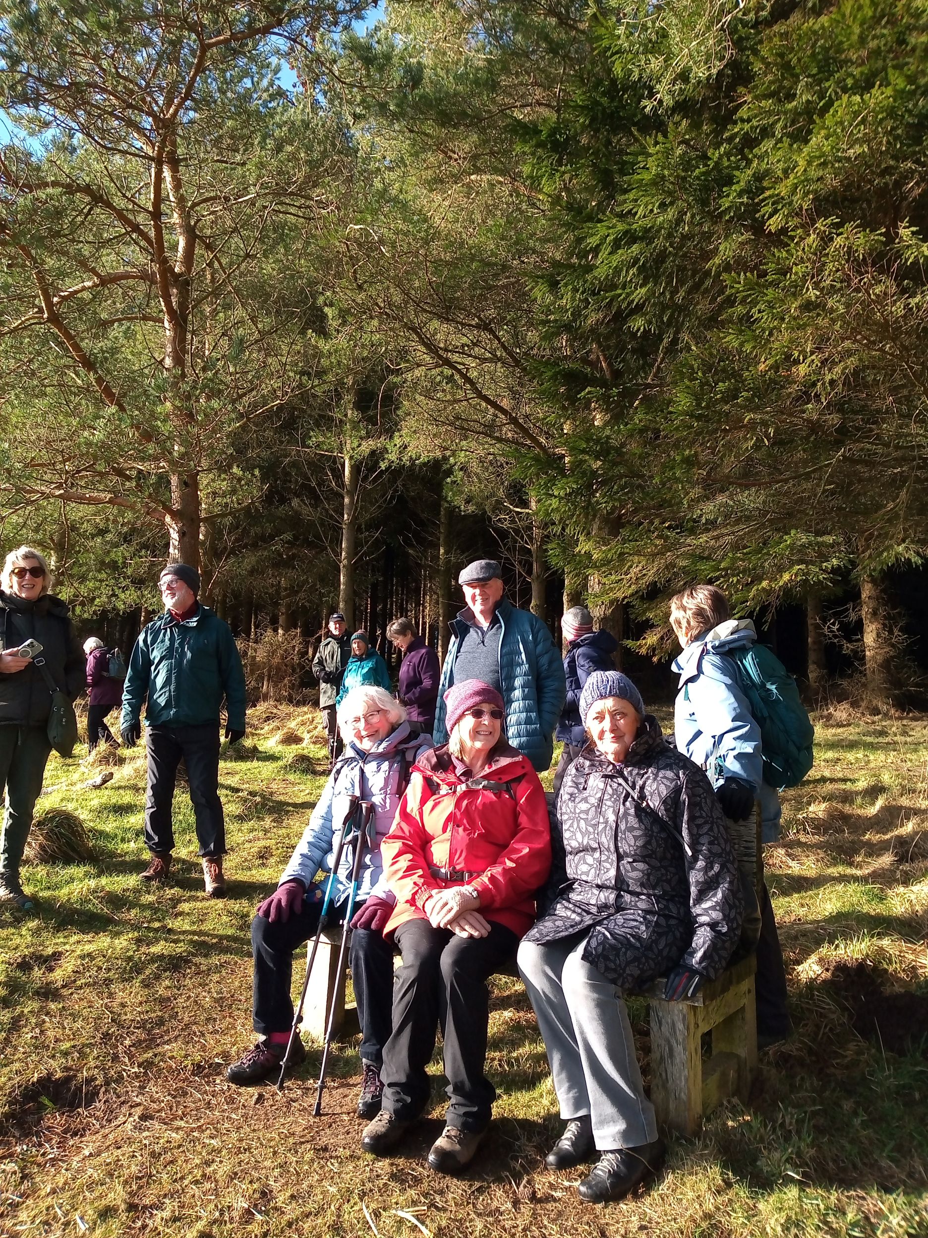 Broughtonknowe Woodland walk II