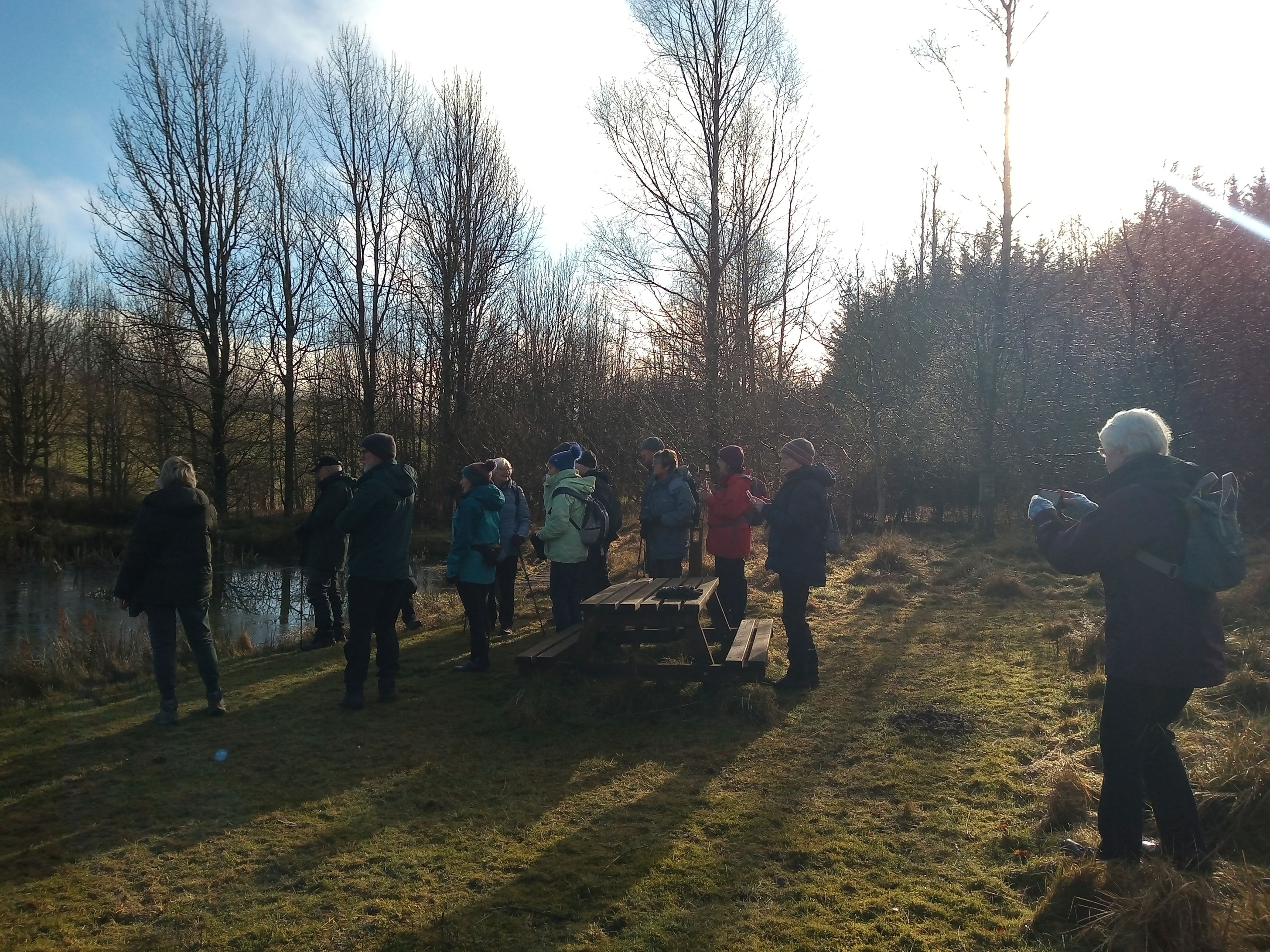 Broughtonknowe Woodland walk IIII