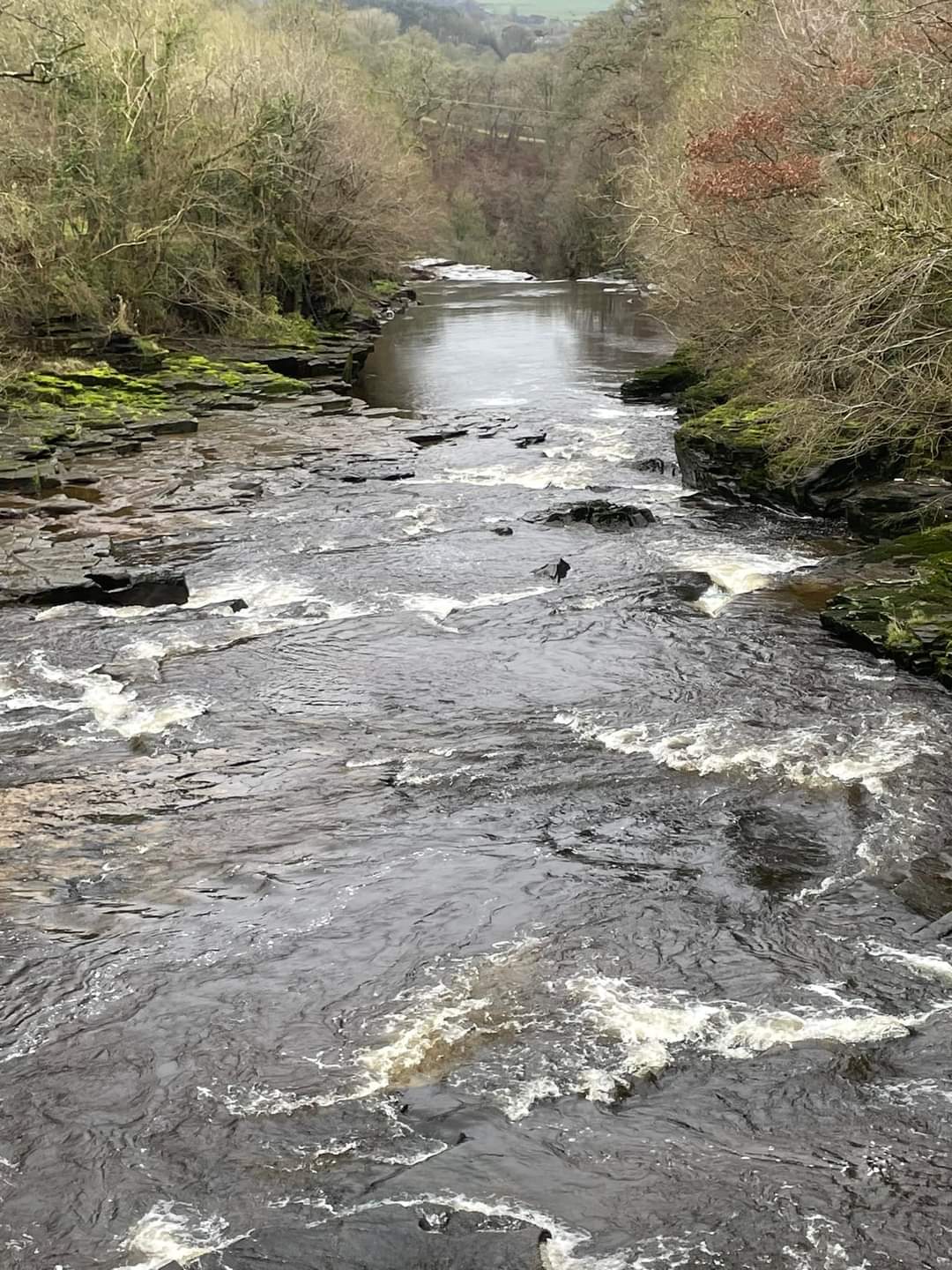 Clyde Walkway