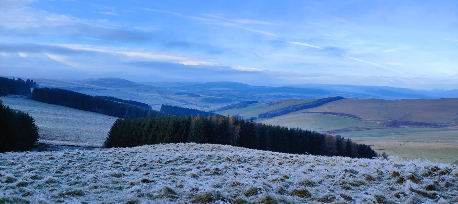 Collie Law and Hamilton Hill Circular IIII
