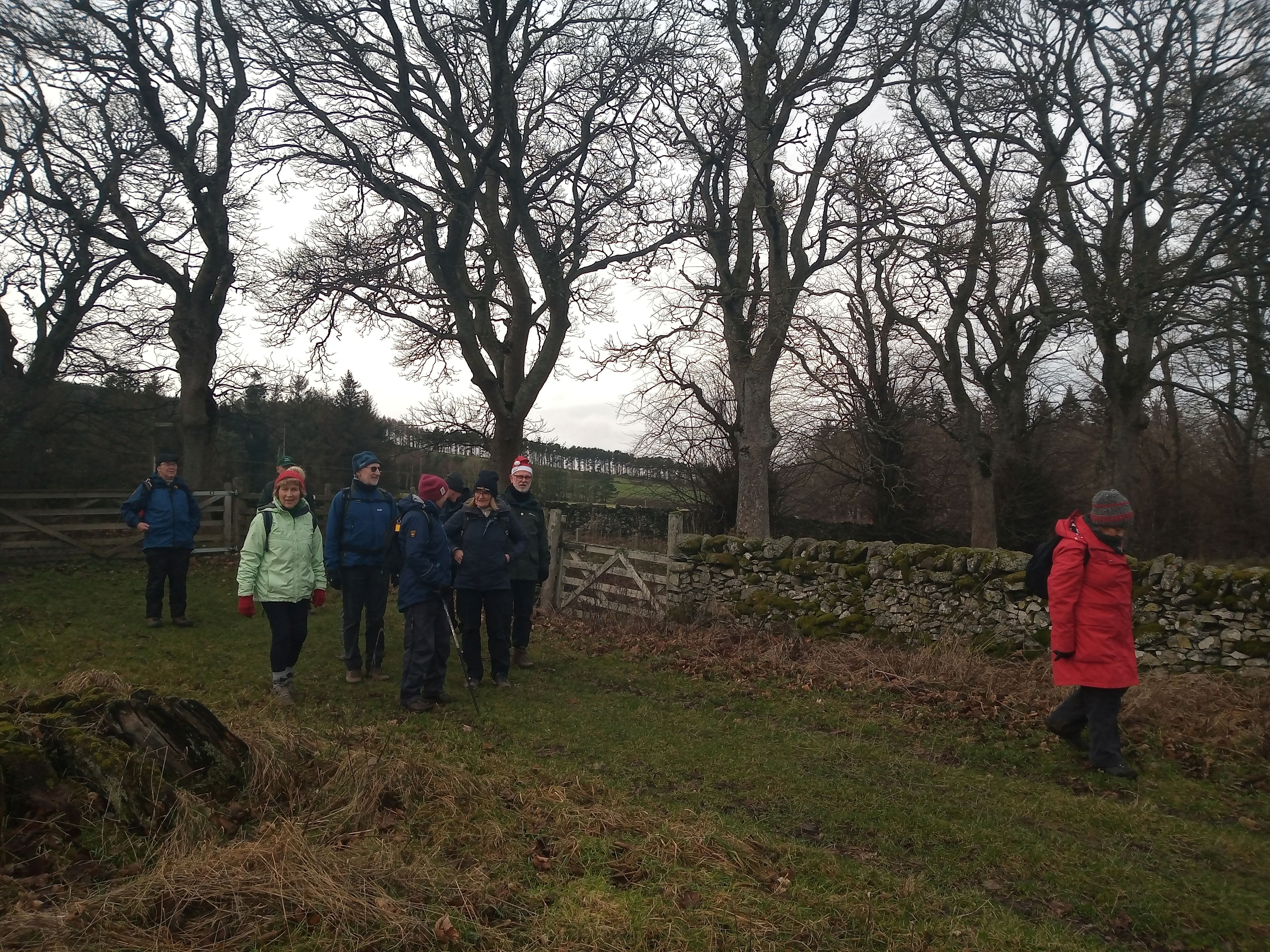 Mince Pie Walk 4 2025