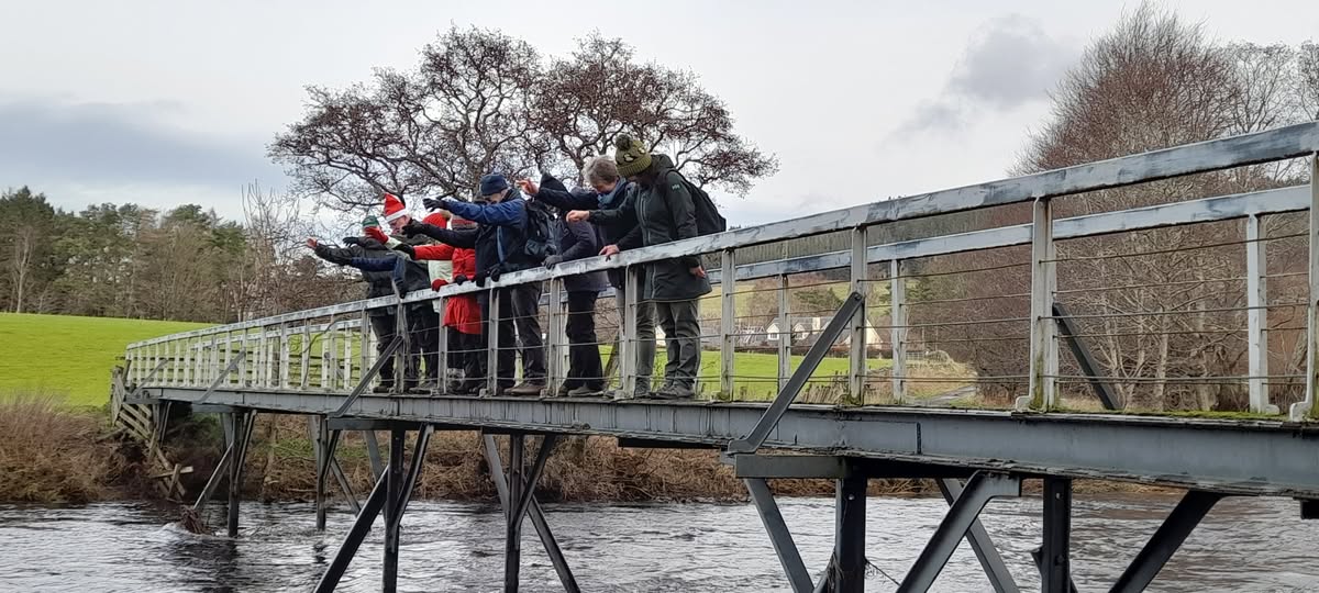 Mince Pie Walk 5