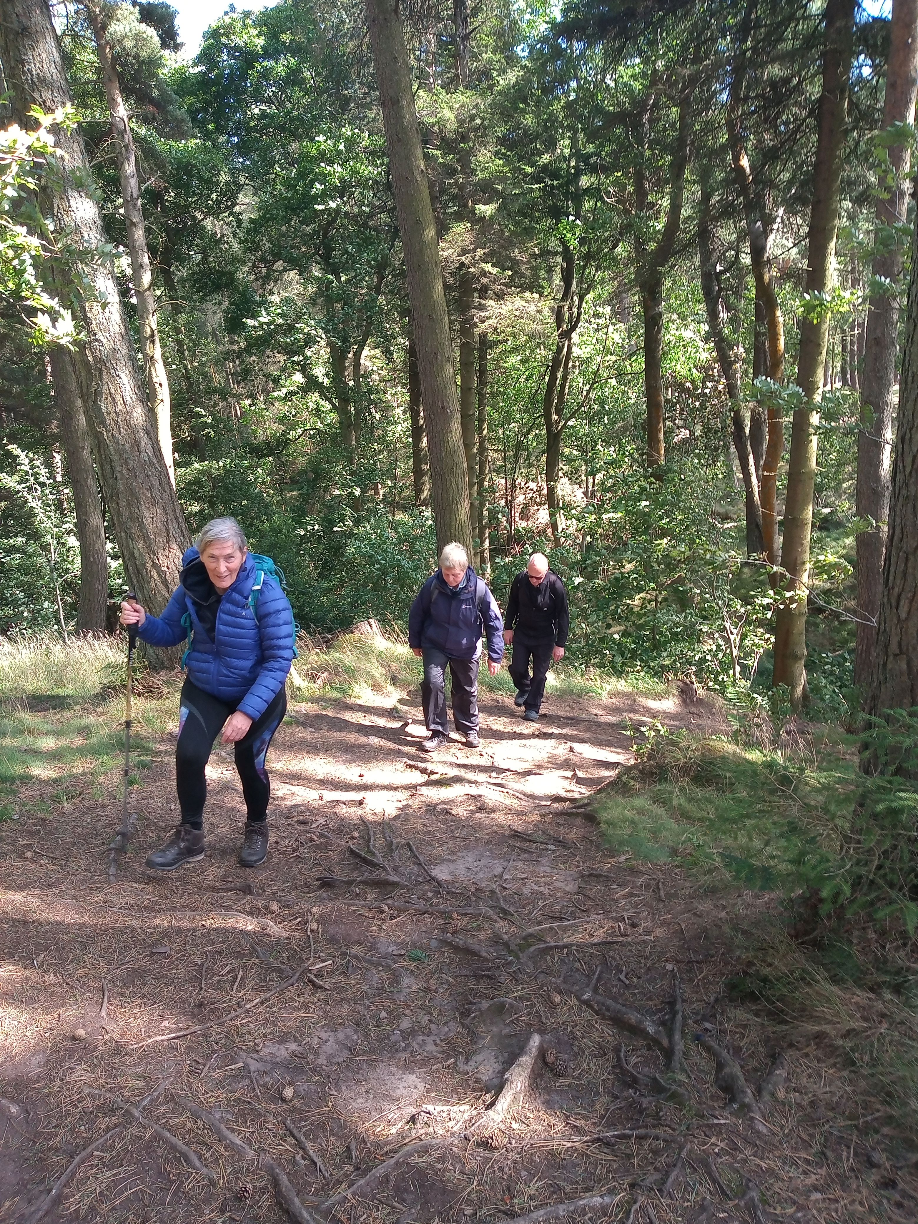 Robins Walk 090825