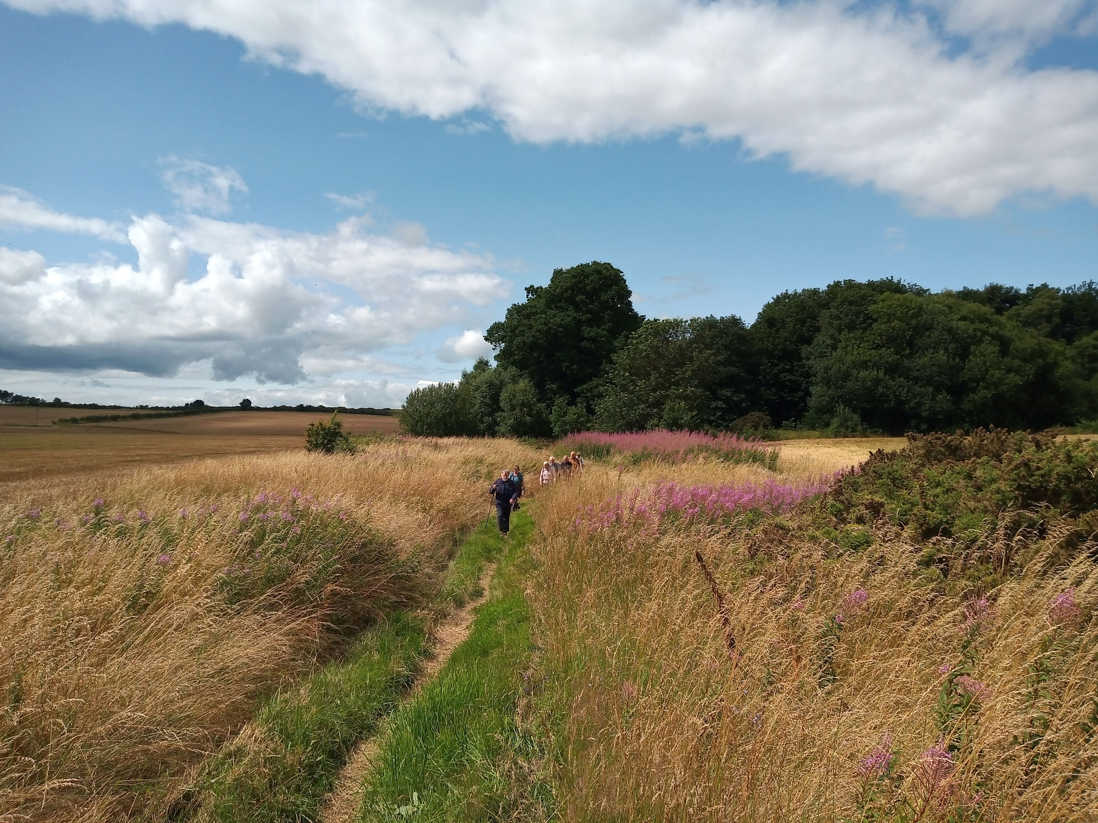 St Cuthberts Way