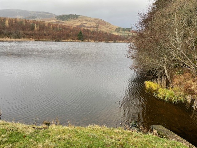 Stobo Dec 2025