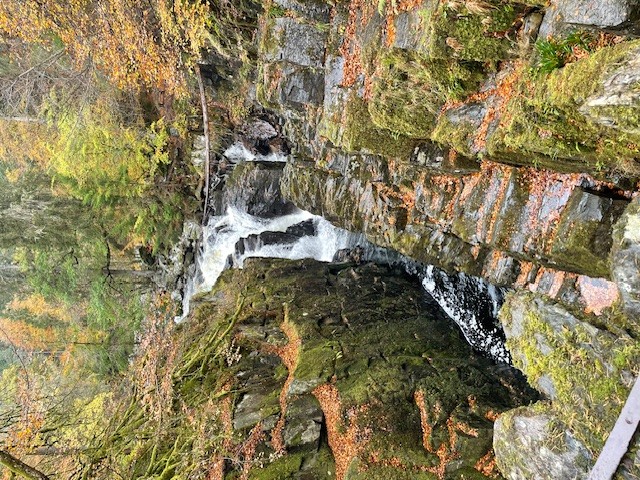The Hermitage 261025