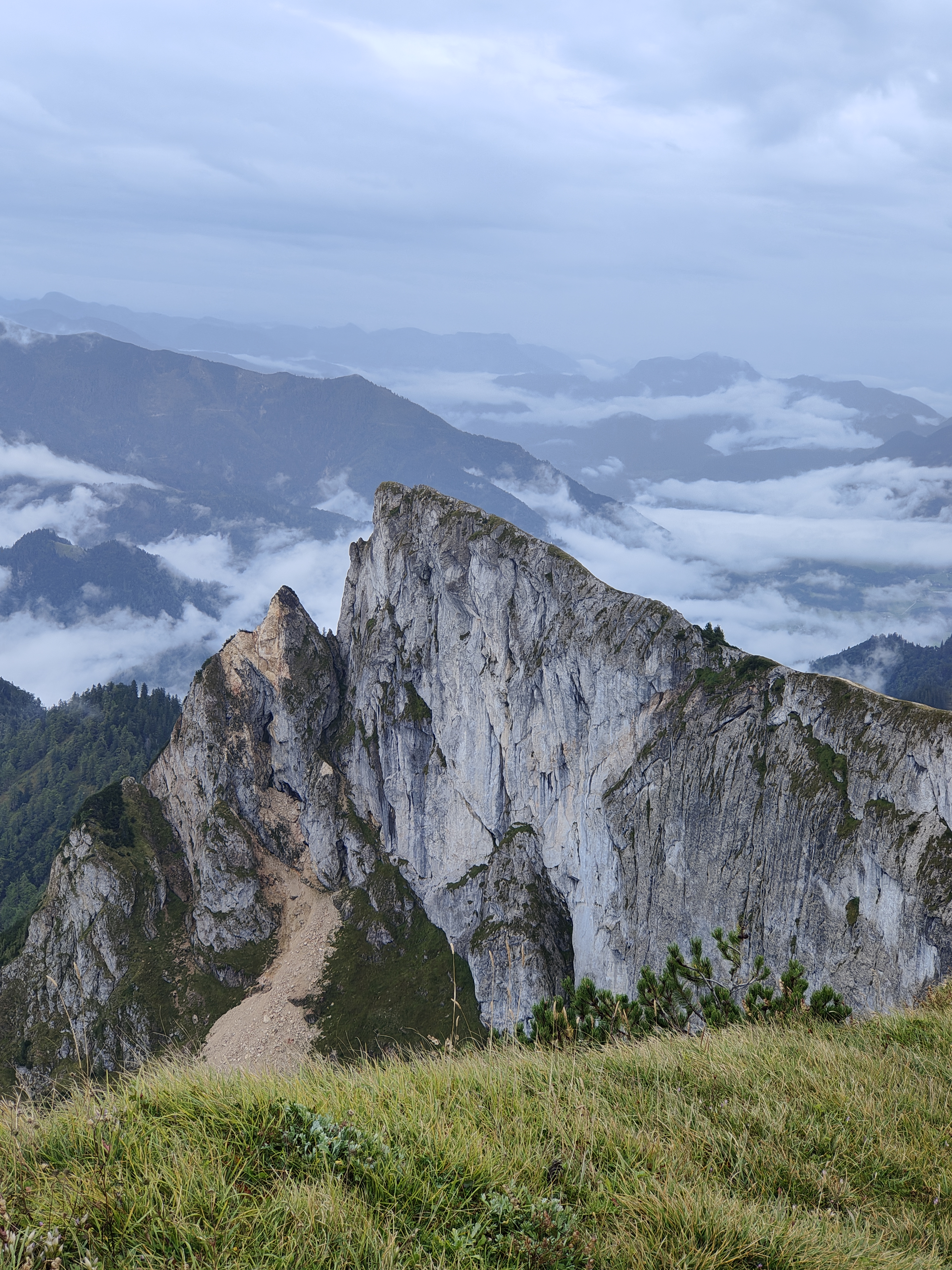 View from the top of the Schafberg