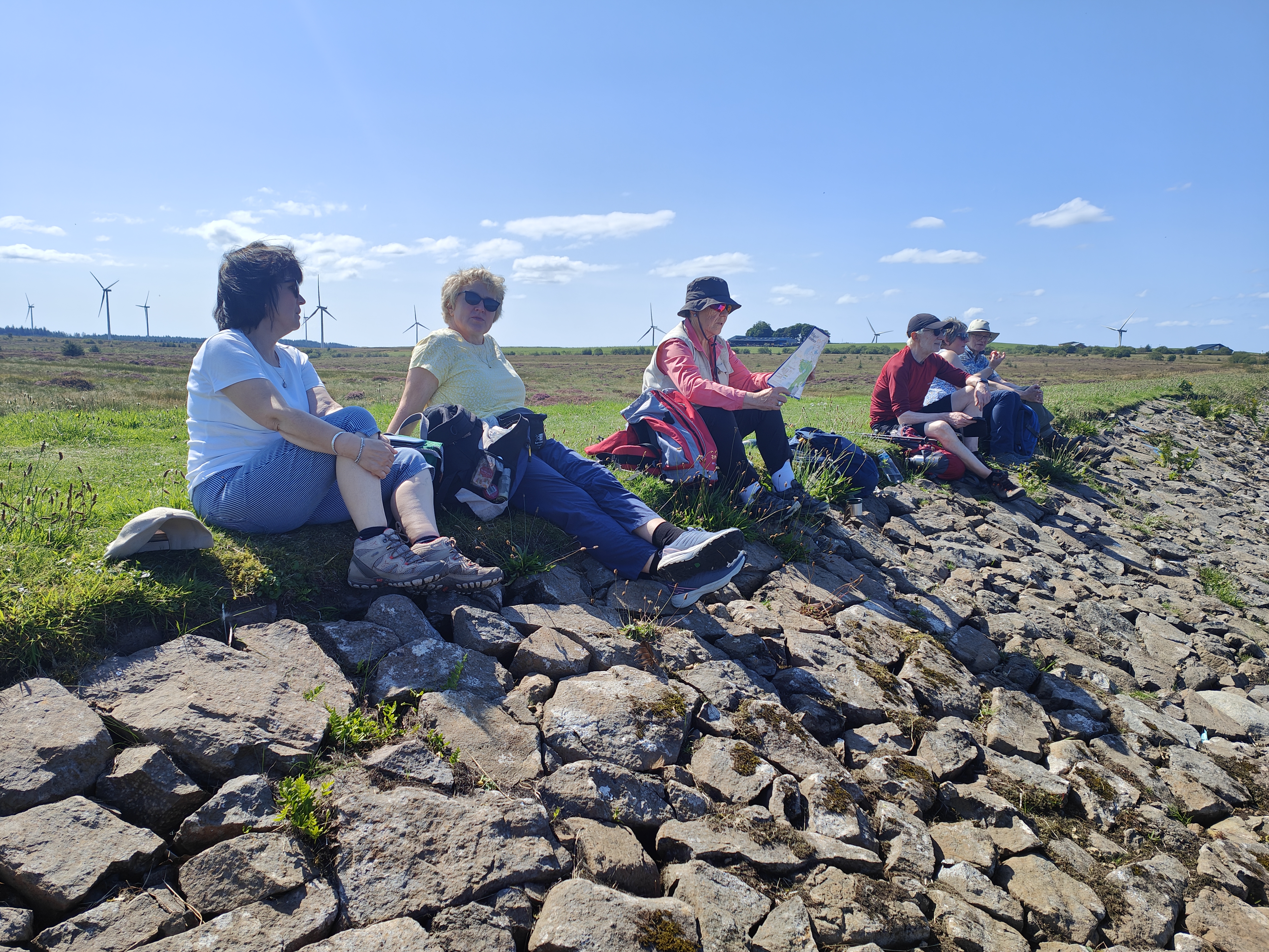 Whitelee1